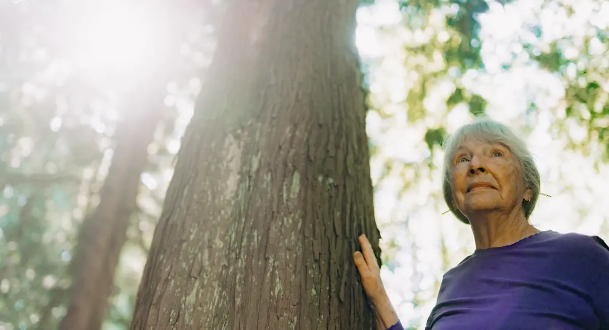 DSC03943_1.2e16d0ba.fill-1200x650.format-webp